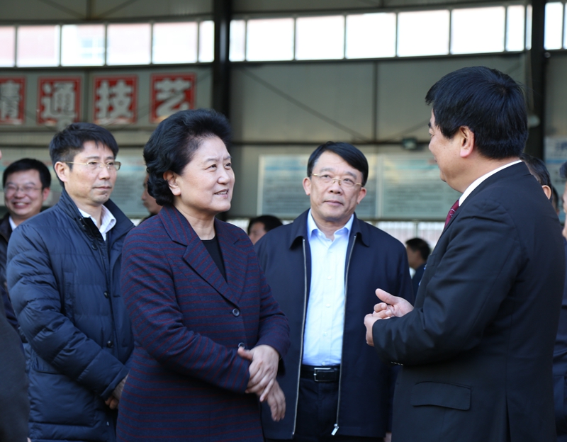 中共中央政治局委員、國務(wù)院副總理劉延?xùn)|在教育部副部長朱之文，四川省教育廳廳長朱世宏等陪同下視察四川應(yīng)用技術(shù)職業(yè)學(xué)院_副本.jpg